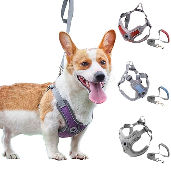 Gostoto Pet Dog Reflective Harness Leash Sets,Breathable Walking Harness with Leash for Medium And Small Dog
