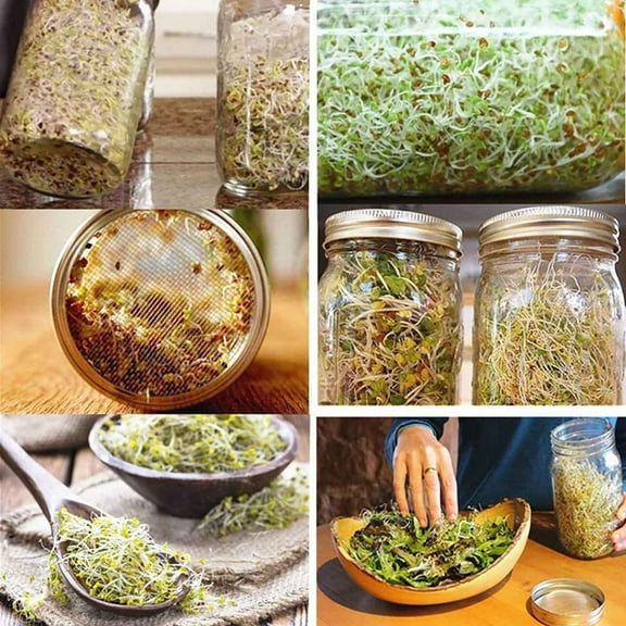 Gosuguu Stainless Steel Sprouting Kit with Glass Jars and Mesh Lids for Homegrown Broccoli Alfalfa and Bean Sprouts