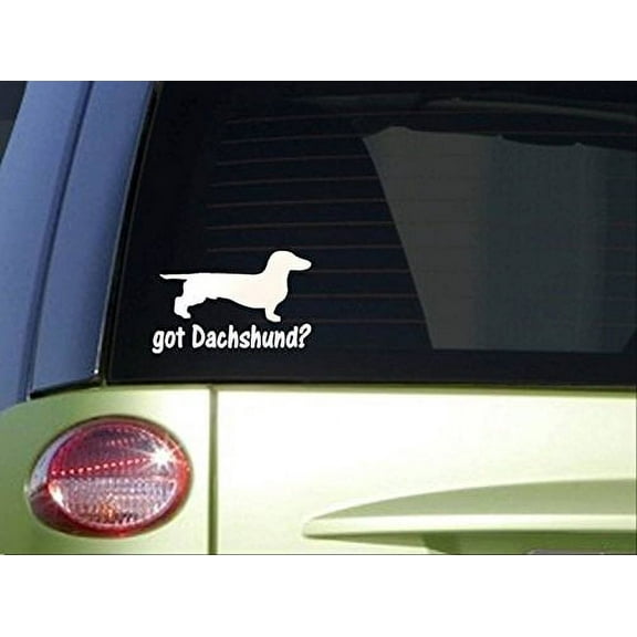Got Dachshund *I774* 6x6 inch Sticker decal weiner dog