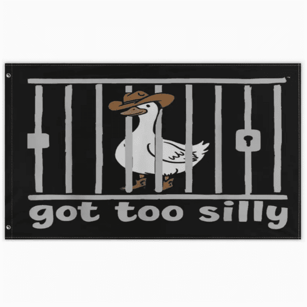 Funny Flags Your Room