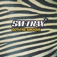 thumbnail image 1 of Got the Groove (Audiobook), 1 of 2