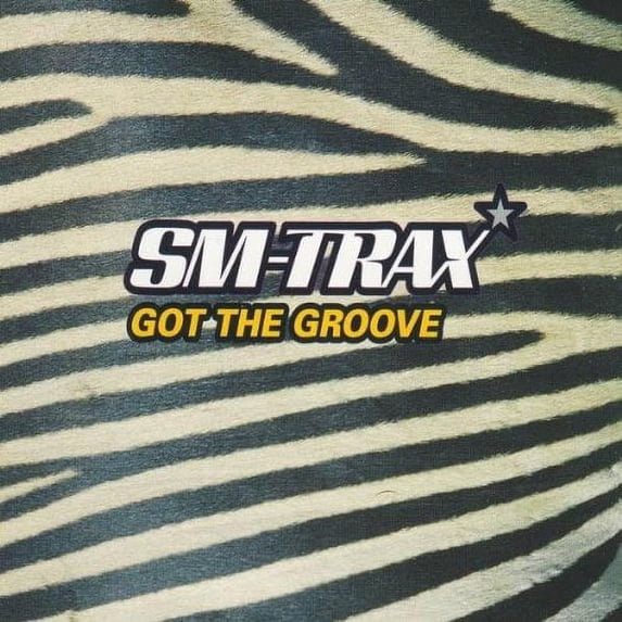 Got the Groove (Audiobook)