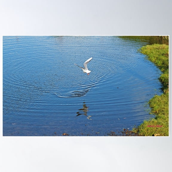 " Gotch Ya" Poster Wall Art, Modern Wall Decor For Living Room Bedroom, 16x24 UNFRAMED