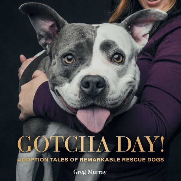 Pre-Owned Gotcha Day!: Adoption Tales of Remarkable Rescue Dogs (Hardcover) 1423655273 9781423655275