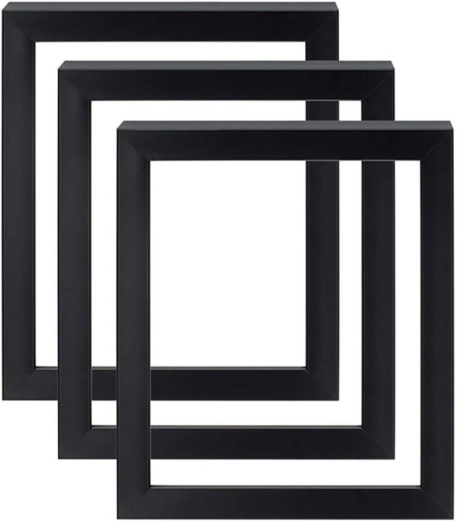 Gotham Deep Gallery Frames 3 Pack of Professional Gallery Frames for