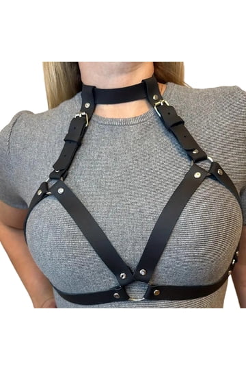 Gothic Harness display picture 1