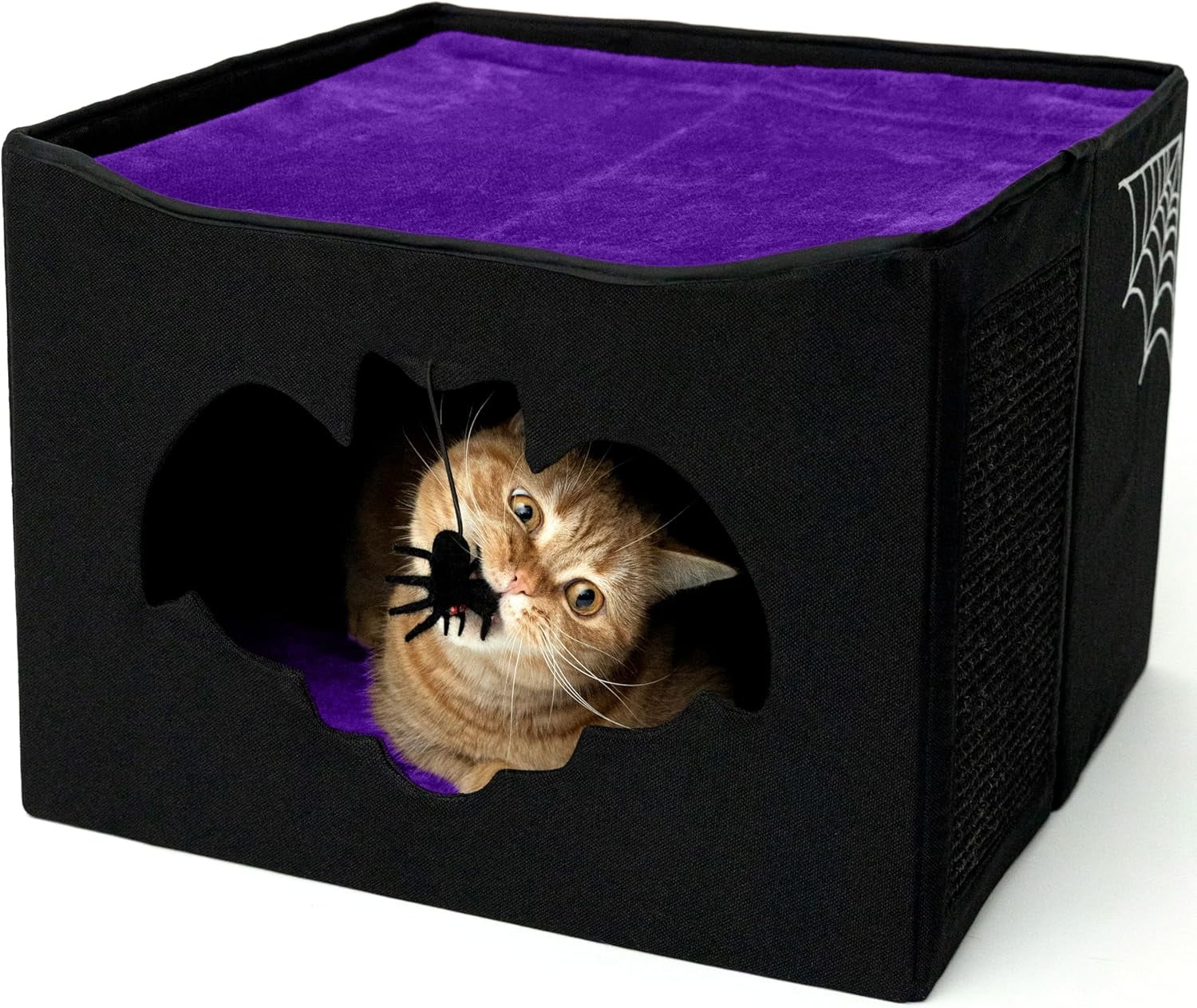 Gothic Cat Bed for Indoor Cats or Pets, Foldable Cat Halloween House 17x17x12.8, Includes Bat-Shaped Entry, Spider Toy, Scratch Pad, and Soft Cushion for Goth Cat, Black and Purple Gothic Cat House
