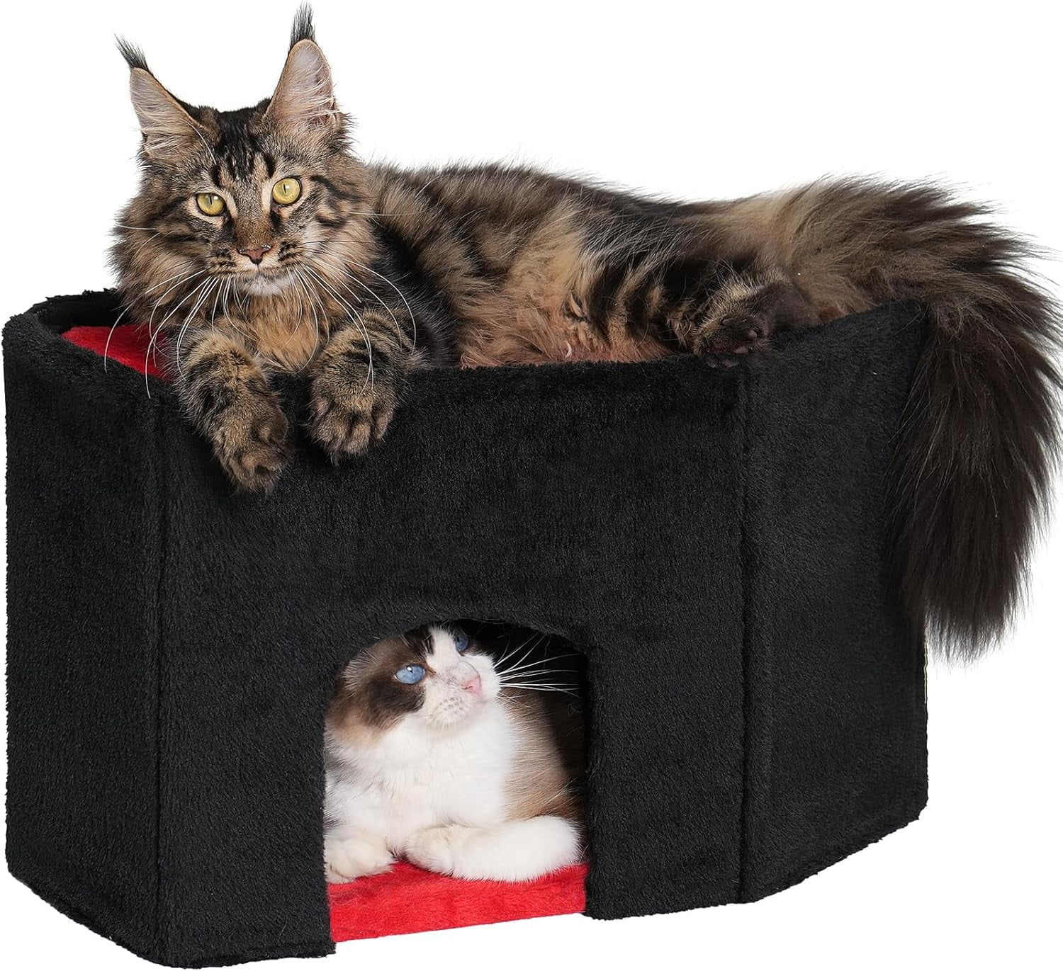Gothic Cat Condo Cave for Indoor Cats, Spacious Indoor Coffin Cat House ...