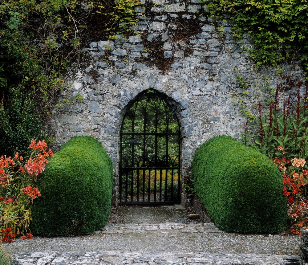 Gothic Entrance Gate Walled Garden Ardsallagh Co Tipperary Ireland Canvas Art - The Irish Image Collection Design Pics (15 x 13)