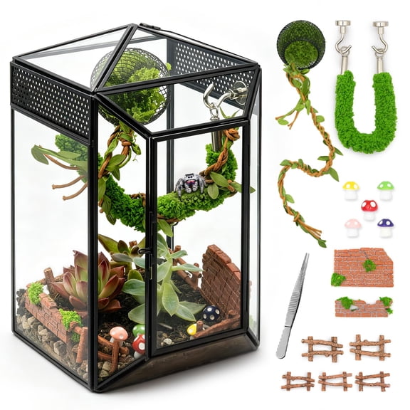 Gothic Glass Terrarium Habitat Kit for Praying Mantis and Arboreal Tarantulas