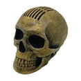 thumbnail image 1 of Gothic Realistic Skull Guitar Pick Holder, Great Gift for Guitar Enthusiasts, 1 of 5