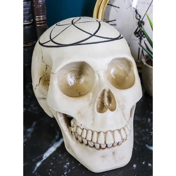 Gothic Sacred Geometry Seed Of Life Earth Creation Cosmic Energy Skull Figurine
