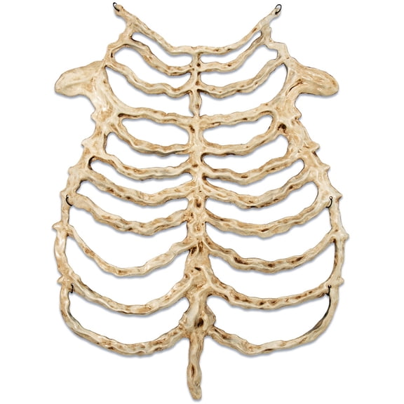 Gothic Skeleton Rib Cage Chest Armor,Halloween Grim Reaper Skeleton Chest Fancy Dress Costume for LARP