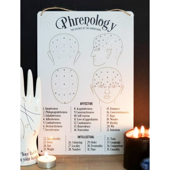 Gothic Wicca Phrenology Alternative Science Of Human Mind Metal Wall Sign Decor