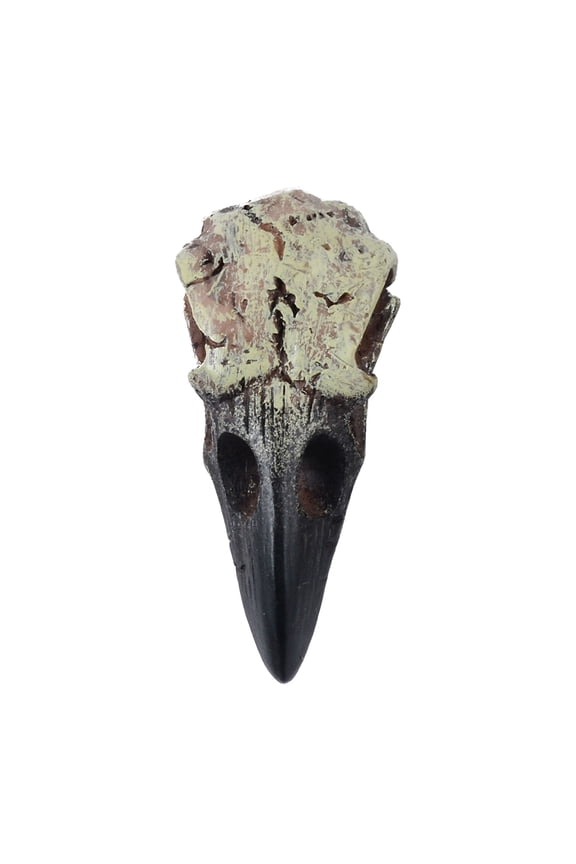 Gothics Crow Skull Necklace Dark Series Necklace Pendant for Halloween Party Decoration Novelty Gift Accessories