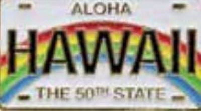 Gotta Be Hawaiian Unisex Lapel or Hat Pin in Hawaii License Plate. Ages 12 and up.