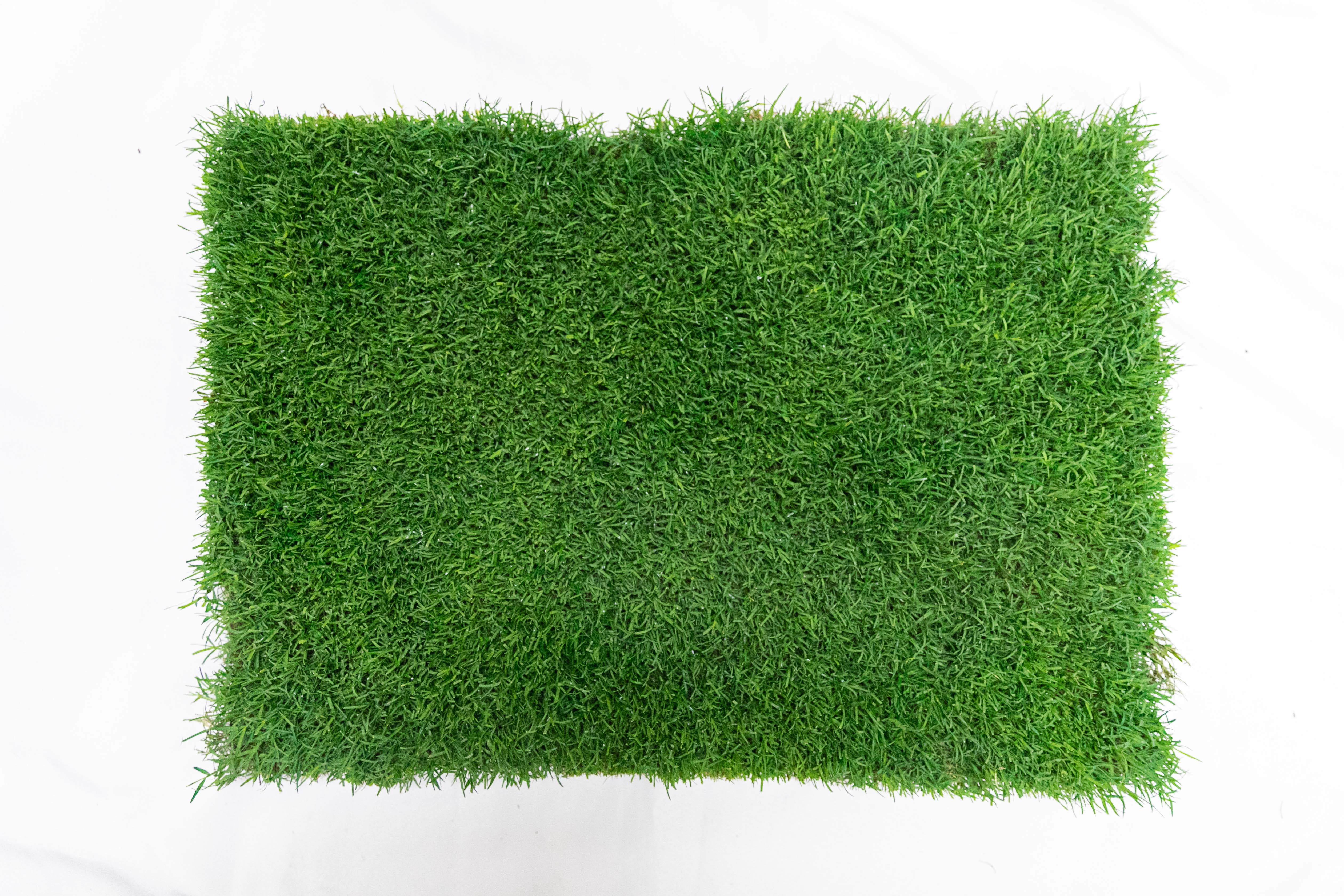 Small Green Natural Grass Dog Potty Pad