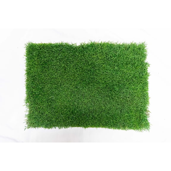 Gotta Go Grass Refill 1pk