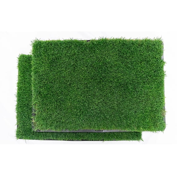 Gotta Go Grass with Tray 2pk