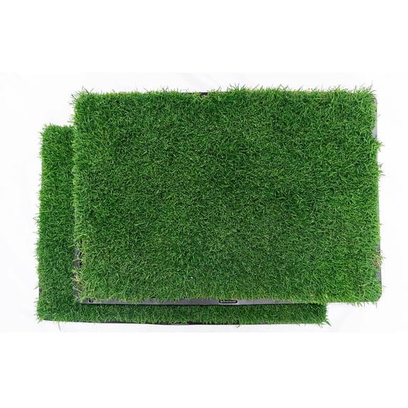 Gotta Go Grass with Tray 2pk