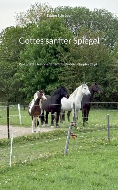 Gottes sanfter Spiegel: Wie uns die Resonanz der Pferde den Schöpfer zeigt, (Paperback)