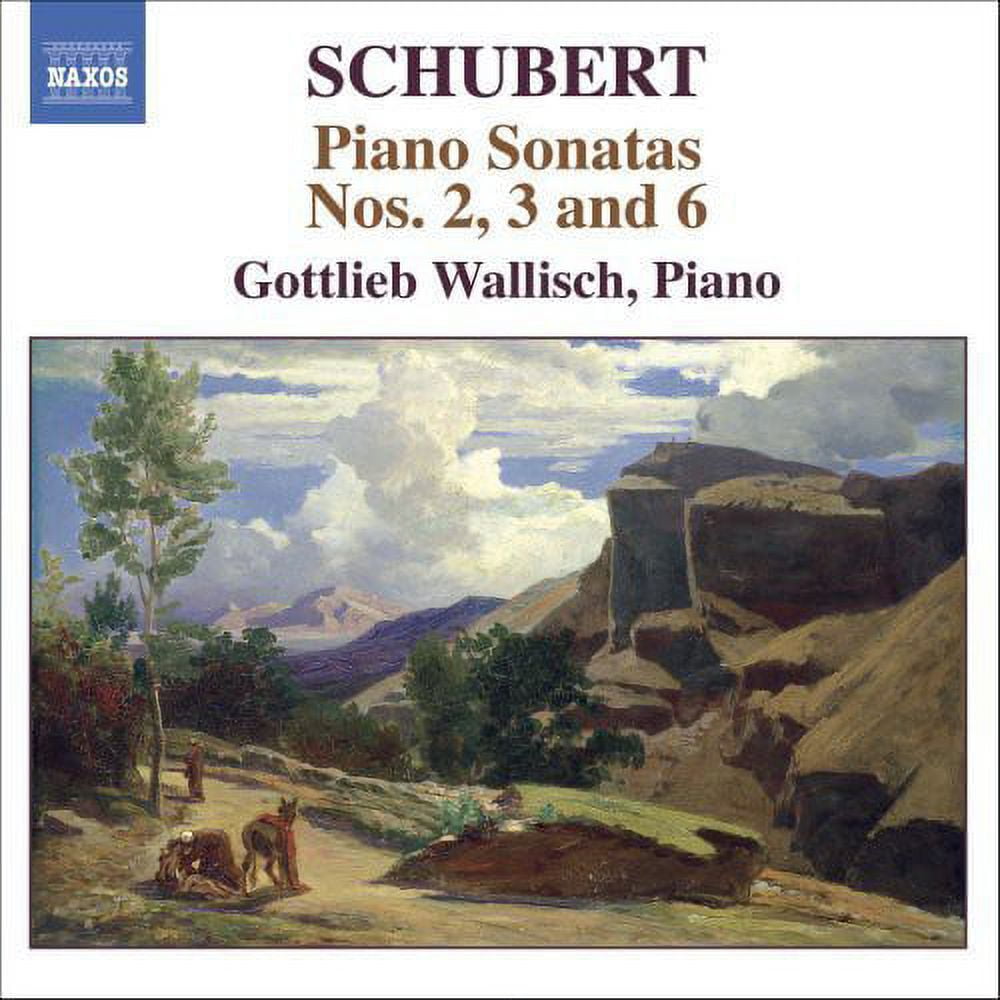 Gottlieb Wallisch - Piano Sonatas Nos 2 3 & 6 - Music & Performance - CD