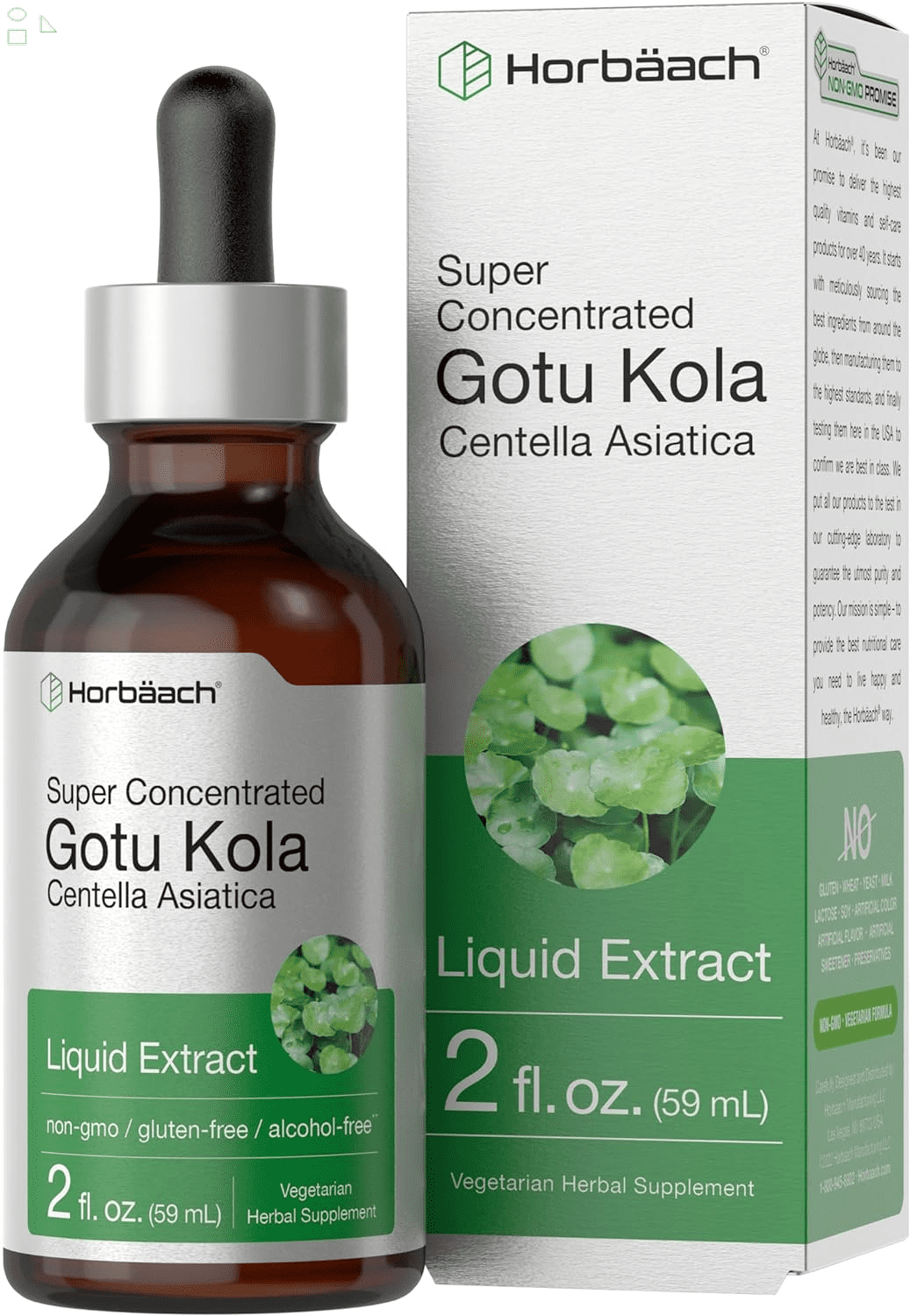Gotu Kola Extract 2 Fl Oz Alcohol Free Super Concentrated Liquid