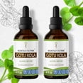 thumbnail image 1 of Secrets Of The Tribe Gotu Kola Tincture Dietary Supplement, Natural Herbal Extract for Cognitive Support, Gotu Kola (Centella asiatica) Dried Herb, Alcohol Extract, Drops 2x4 oz, 1 of 5