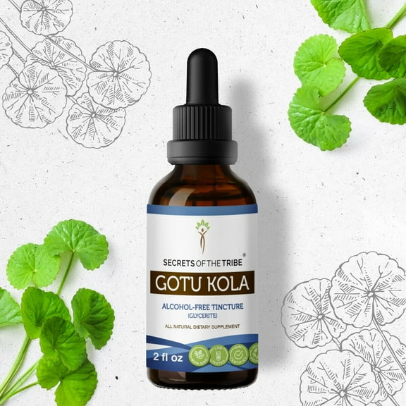 Secrets Of The Tribe Gotu Kola Tincture Dietary Supplement, Natural Herbal Extract for Cognitive Support, Gotu Kola (Centella asiatica) Dried Herb, Alcohol-Free Extract, Drops 2 oz