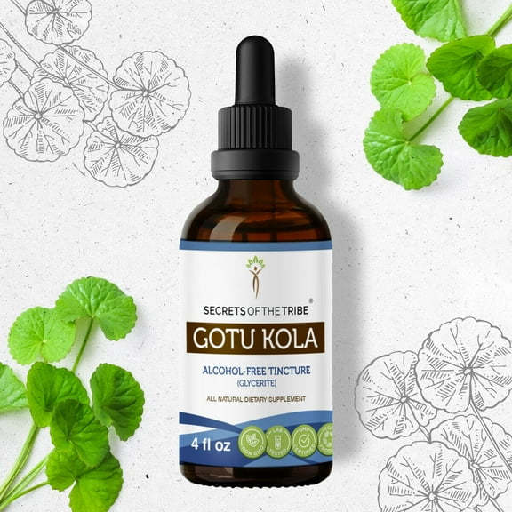 Secrets Of The Tribe Gotu Kola Tincture Dietary Supplement, Natural Herbal Extract for Cognitive Support, Gotu Kola (Centella asiatica) Dried Herb, Alcohol-Free Extract, Drops 4 oz