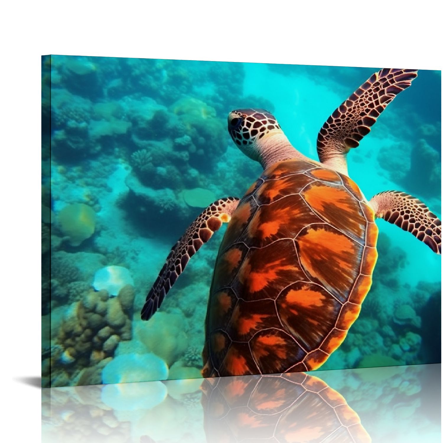 Gotuvs Canvas Print Wall Art,Ocean Sea Turtle Modern Gallery Wall Decor
