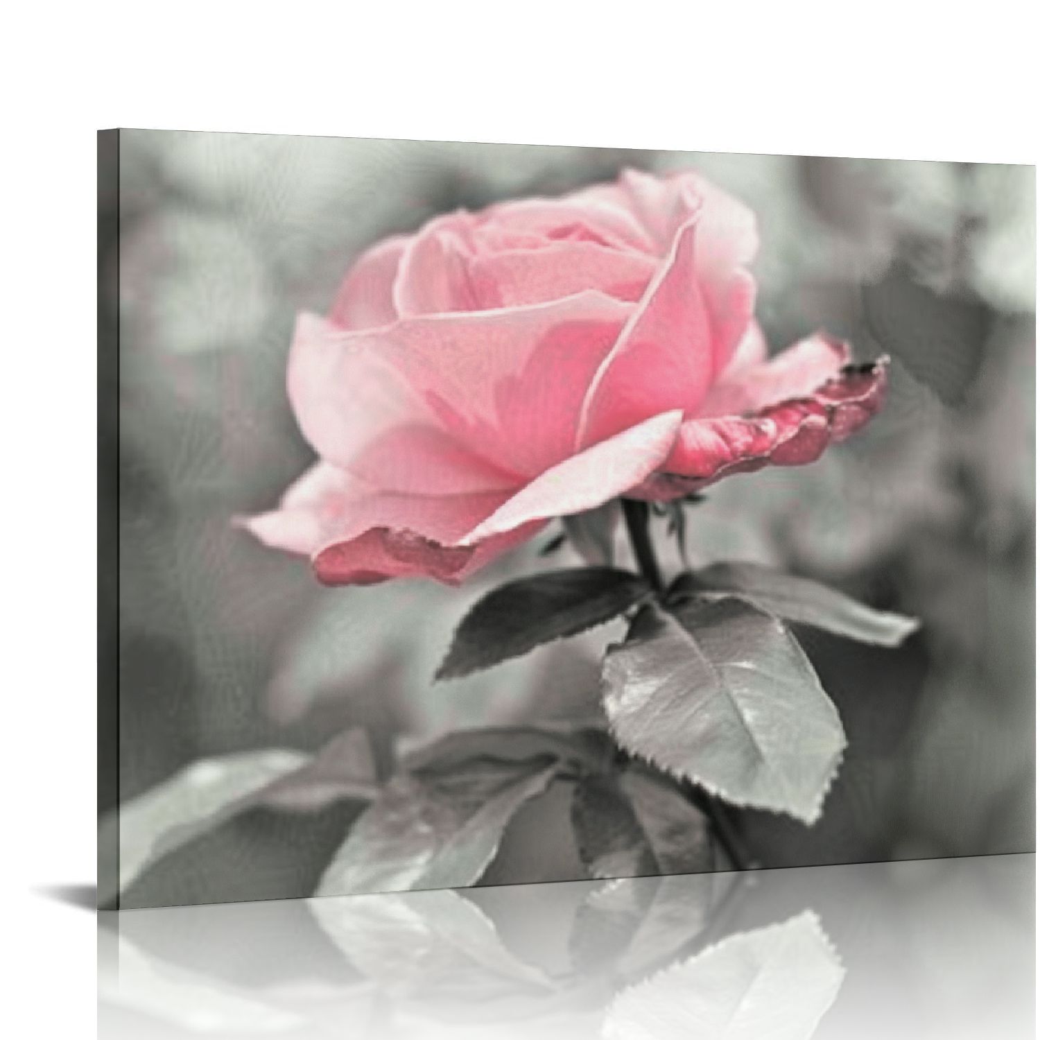 Gotuvs Pink Rose Flower Decor Wall Art Floral Paintings Prints Black