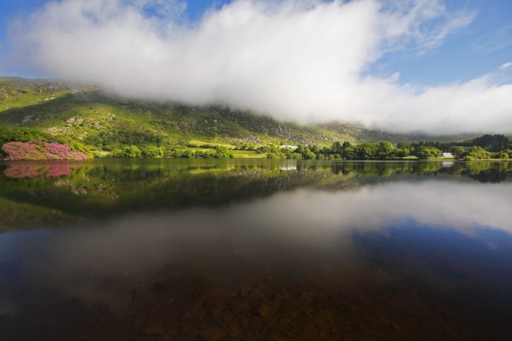 Gougane Barra Lake In West Cork County Cork Munster Ireland Canvas Art - Trish Punch  Design Pics (38 x 24)