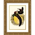 thumbnail image 1 of Gould 23x32 Gold Ornate Wood Framed with Double Matting Museum Art Print Titled - Gould Bird of Paradise IV, 1 of 4
