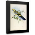 thumbnail image 1 of Gould, John 10x14 Black Modern Framed Museum Art Print Titled - Yellow Rumped Parakeet, 1 of 5