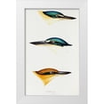 thumbnail image 1 of Gould, John 10x14 White Modern Wood Framed Museum Art Print Titled - Sacred kingfisher-Collared kingfisher and Guam kingfisher, 1 of 4
