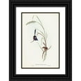 thumbnail image 1 of Gould, John 11x14 Black Ornate Wood Framed with Double Matting Museum Art Print Titled - Lamberts Wren-Malurus Lamberti, 1 of 4