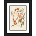 thumbnail image 1 of Gould, John 11x14 Black Ornate Wood Framed with Double Matting Museum Art Print Titled - Leadbeaters Cockatoo-Cacatua Leadbeaterii, 1 of 4