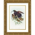 thumbnail image 1 of Gould, John 11x14 Gold Ornate Wood Framed with Double Matting Museum Art Print Titled - Drepanornis albertisi-Black-billed Sicklebill Bird of Paradise, 1 of 4
