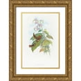 thumbnail image 1 of Gould, John 11x14 Gold Ornate Wood Framed with Double Matting Museum Art Print Titled - Selashorus scintilla-Scintillant Hummingbird, 1 of 4