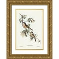 thumbnail image 1 of Gould, John 11x14 Gold Ornate Wood Framed with Double Matting Museum Art Print Titled - Singing Honey-eater-Ptilotis sonorus, 1 of 4