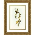thumbnail image 1 of Gould, John 11x14 Gold Ornate Wood Framed with Double Matting Museum Art Print Titled - Striated Pardalote-Pardalotus striatus, 1 of 4