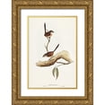 thumbnail image 1 of Gould, John 11x14 Gold Ornate Wood Framed with Double Matting Museum Art Print Titled - Striated Wren-Amytis striatus, 1 of 4