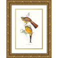 thumbnail image 1 of Gould, John 11x14 Gold Ornate Wood Framed with Double Matting Museum Art Print Titled - Tropical Trogons VI, 1 of 4