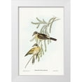 thumbnail image 1 of Gould, John 11x14 White Modern Wood Framed Museum Art Print Titled - Black-eared Cuckoo-Chalcites osculans, 1 of 4