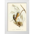 thumbnail image 1 of Gould, John 11x14 White Modern Wood Framed Museum Art Print Titled - Chestnut-shouldered Grass-Parakeet-Euphema pulchella, 1 of 4