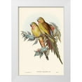thumbnail image 1 of Gould, John 11x14 White Modern Wood Framed Museum Art Print Titled - The Princess of Waless Parakeet-Polytelis Alexandrae, 1 of 4