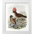 thumbnail image 1 of Gould, John 12x14 White Modern Wood Framed Museum Art Print Titled - Orange-Crested Bower-Bird, 1 of 4