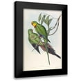 thumbnail image 1 of Gould, John 13x18 Black Modern Framed Museum Art Print Titled - Barrabands Parakeet, 1 of 5