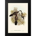 thumbnail image 1 of Gould, John 13x18 Black Modern Framed Museum Art Print Titled - Chestnut-crowned Pomatorhinus-Pomatorhinus ruficeps, 1 of 4